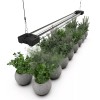 BoostGro LED Plant Grow Light Sunlike Full Spectrum Flower Hydroponics