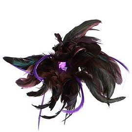 Factory Direct Craft Purple Plum Feather Spray - Stem for Wedding Centerpieces, Party Decorations, Costumes and Crafts (Size: 16")