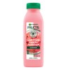 Fructis - Champú Garnier para el cabello Sandia, 300 ml