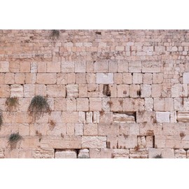 CSFOTO 15x10ft Western Wall Backdrop Ancient Jerusalem Photo Background Jerusalem Wailing Wall Background for Photography Israel Ancient Cityscape Backdrop Church Event Room Decor Props