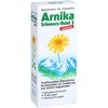 APOTHEKER Dr. Imhoff's Arnica Pain Fluid S 100 ml