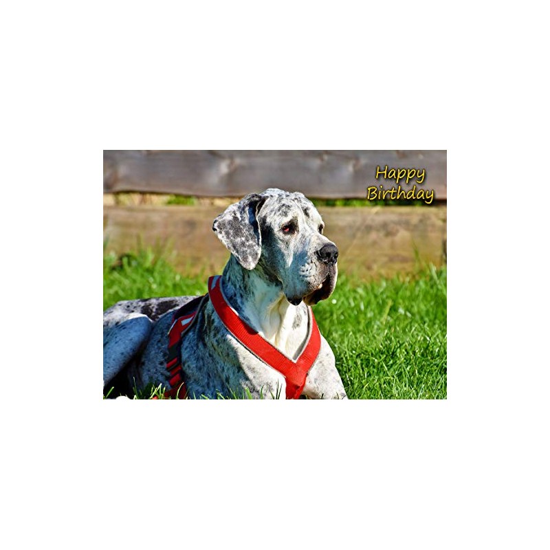 Great Dane Birthday Card