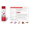 Shampoo Anticaida Romero Chile Chili 500ml