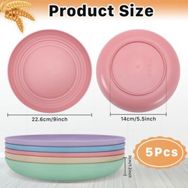 IJRPLM Unbreakable Wheat Straw Plates, 5 Pack 9 Inch, Reusable, Dishwasher & Microwave Safe, BPA Free, Lightweight for Kitchen, Camping, Picnic