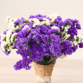 Dried Sea Lavender Flowers Bouquet - Natural Purple & White Statice Flowers with Stems (2000+ Preserved Bouquet) for Vase, Wedding Decor, Home Centerpieces, DIY Arrangements, Bulk Dried Flowers