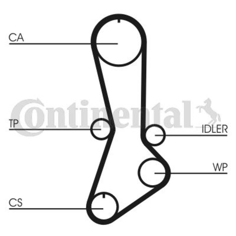 Contitech CT765 Timing Belt
