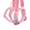 Dog Lift Harness Adjustable Safe Comfortable Puppy Hind Leg Support