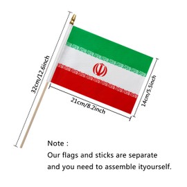 TSMD Iran Stick Flag Iranians Small Mini Hand Held Flags,5x8 Inch,12 Pack