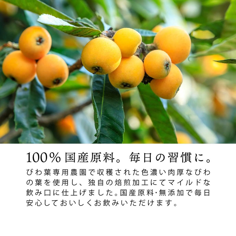 Chatsumi no Sato Domestic Biwa Tea Bag 0.1 oz (3