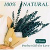 Sepper Eucalipto Real Preservado, 45cm 100% Natural Ramo de Eucalipto