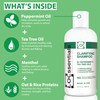 LOCssentials Clarifying Shampoo for Locs – Professional Loc Shampoo for