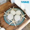 Tumbler Home Real White Seashell Sphere - 3 Inches Wide