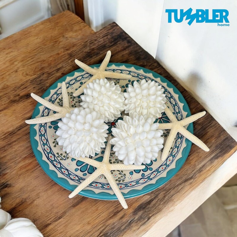 Tumbler Home Real White Seashell Sphere - 3 Inches Wide