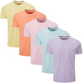 Charles Wilson Men's 5 Pack Midweight Crew Neck T-Shirt (X-Large, Summer Essentials)