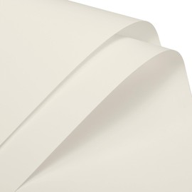 MECCANIXITY Pearlescent Film Flower Wrapping Paper 22.8x22.8 Inch Waterproof for DIY Crafts, Gift/Gift Box Packaging Light Beige Pack of 20