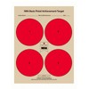 The NRA Pistol Qualification Targets, 100 Target Pack, 25 of