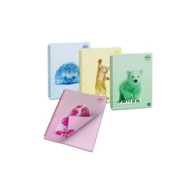 Pigna, Confezione 4 Quaderno Blocco Spiralato,carta colorata,COLOUR INSIDE, A5, 50 Fogli, interno 5M, quadretto 5mm