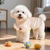 JTYKUYR Dog Shirts Summer Striped Small Dogs T Shirt Cute