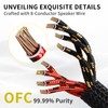 YYTCG 9 AWG 2-Pack Speaker Cable with 2 Banana Plugs