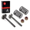 Intake Exhaust Valve Seal Spring Kit For Club Car Golf