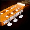 Pack of 2 Guitar Machine Heads Buttons, Mechanical Tuning Pegs