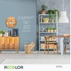 RECOLOR Recycled Interior Matte Finish Latex Paint for Walls and