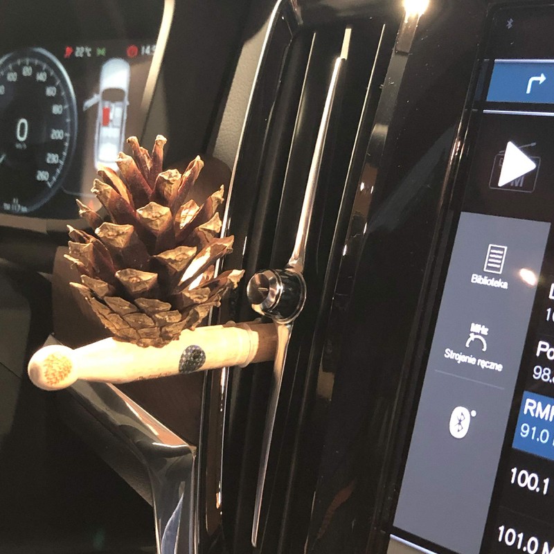 Lady Pinecone - aromatherapy kit in the car with 1