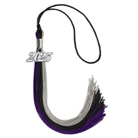 Endea Graduation Triple Color Tassel with Silver Date Drop (Black/Purple/Grey, 2025)