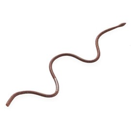 TIEMCO CT Hatta Crawler #09 12 Inch