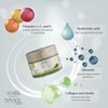 Snail Extract Anti-Ageing Face-Cream Concentrate for Day & Night -