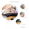 Cama de Masaje Spa Reclinable | Estuche Portátil Profesional |