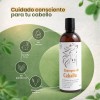 Shampoo De Caballo Extracto De Nogal Aceite Y Menta 500ml