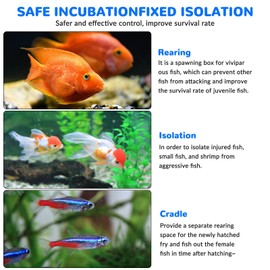 Large Fish Breeding Box 11.5" x 6" x 6", Acrylic Aquarium Isolation Box Fish Breeder Box for Fish Tank, Hatching Incubator Box with Suction Cups for Newborn Baby Fry Shrimp Betta Guppy Clownfish