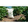 High Plains Great Northern White Beans | 10 Pound Bag