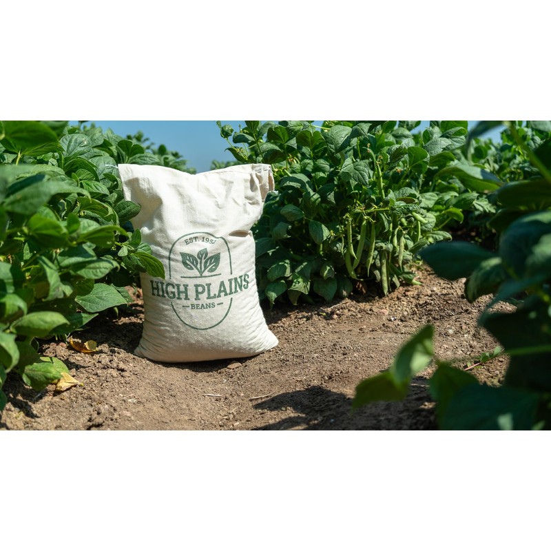 High Plains Great Northern White Beans | 10 Pound Bag