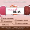 Blush Makeup Giselle Doll Mineral Makeup by Giselle Cosmetics Pure,