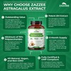Zazzee Extra Strength Astragalus Root 20:1 Extract, 5000 mg Strength,