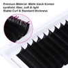 Easy Fan Lashes, Self-Fanning Eyelashes, Volume Eyelashes for Volume Technique,