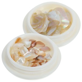 TOVINANNA Nail Charms of Natural Shell Nail Decorations for Women Assorted Nail Gems for DIY Manicure Professional Use for Holiday Nail Art and Creative Designs