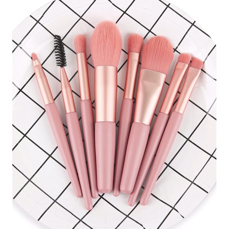 Trust Contact Makeup Brushes Set of 8 with Pouch Set,
