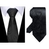 Passabin Tie For Men Necktie Woven Jacquard Neck Ties Set