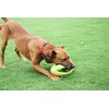 Happy Pet Grubber dog toy in rugby ball shape, jumping