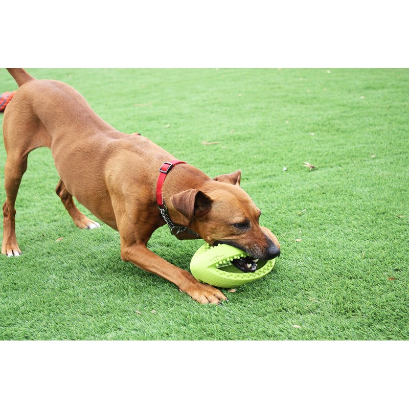 Happy Pet Grubber dog toy in rugby ball shape, jumping