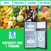 DEMULLER 2.4 Cu.ft Mini Fridge with Freezer Small Refrigerator with