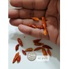 home grown Kanthari / BirdsEye Chilli pepper HEIRLOOM 50+ seeds