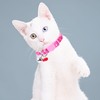 CWPFVQA Pack of 3 Fruit Pet Collar, Kitten Collar, Pink