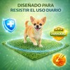 Fancy Pets Repuesto de Pasto Sintético para Tapete Doggie Grass