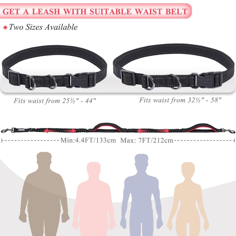 VIVAGLORY Hands Free Dog Leash Bungeetwin Running Dog Leash with
