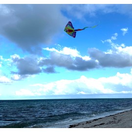 Happy and Hippie Fish Kite for Kids and Adults, Colorful New 2023 Vibrant Design, Beginner-Friendly Easy to Fly, Perfect for Beach, Park, and Family Fun (Pink)