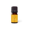 Aromatics International Niaouli ct 1-8 Cineole Essential Oil 5ml